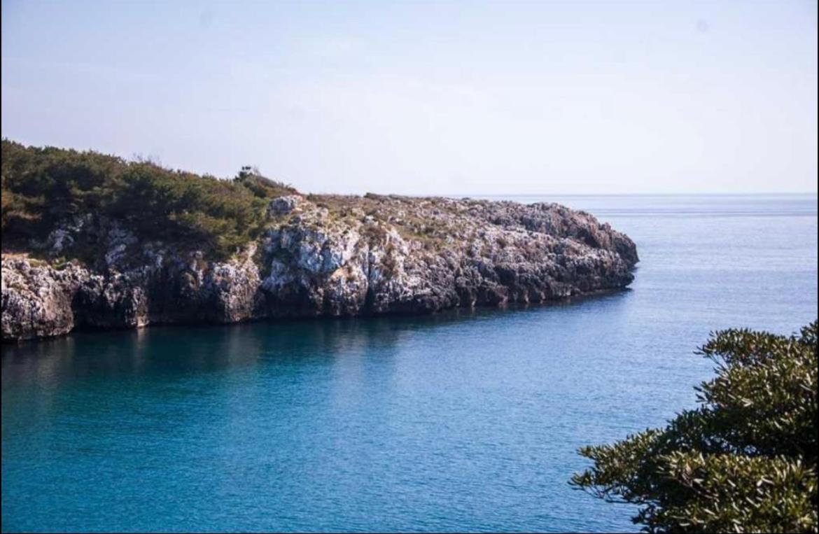 أودجانو لا كييزا La Rondine Bed And Breakfast المظهر الخارجي الصورة